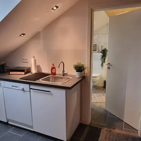 Capa Pfalz Apartment Neustadt an der Weinstrasse